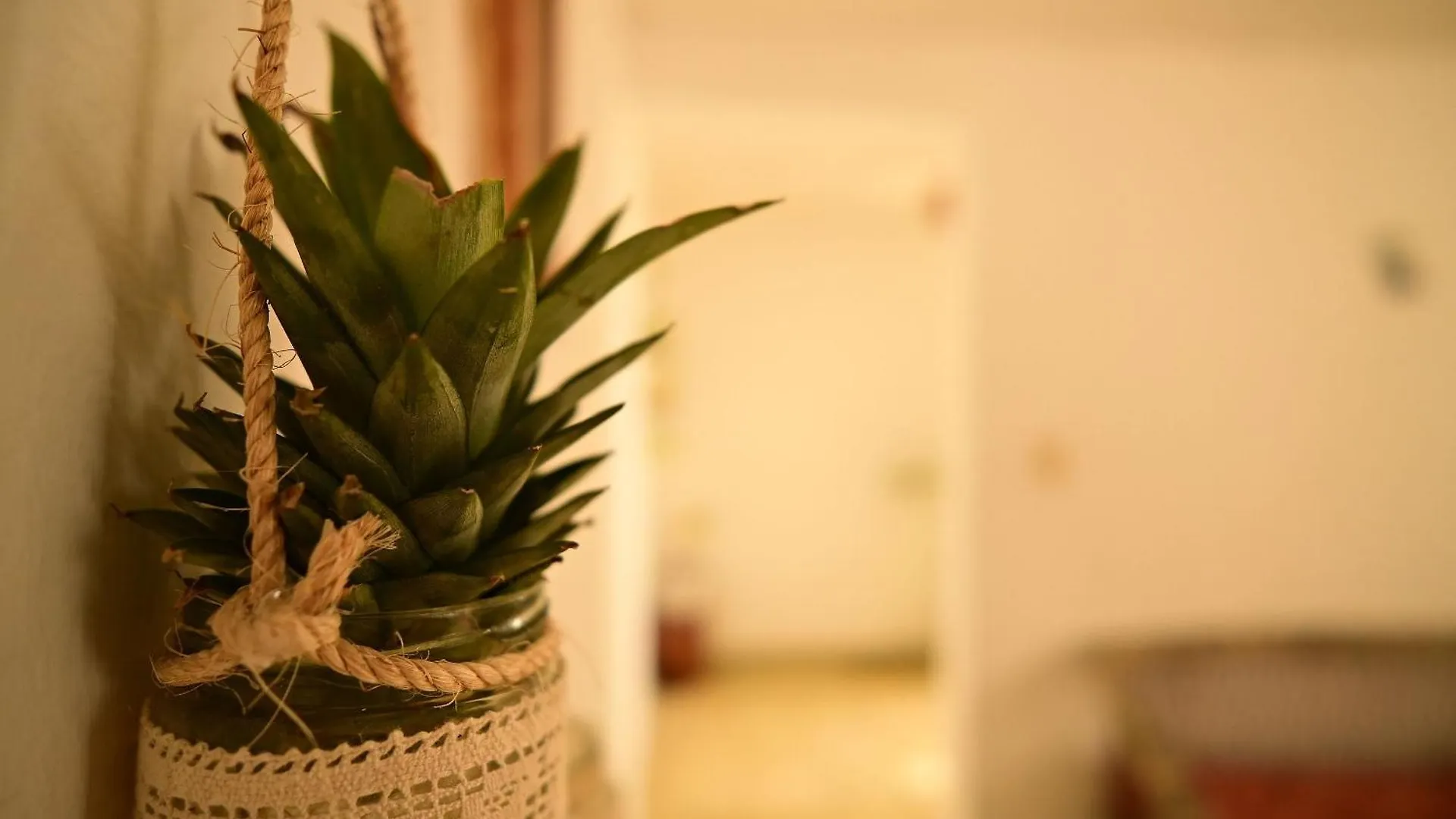 فندق Nido Wellness Center باكالار منتجع