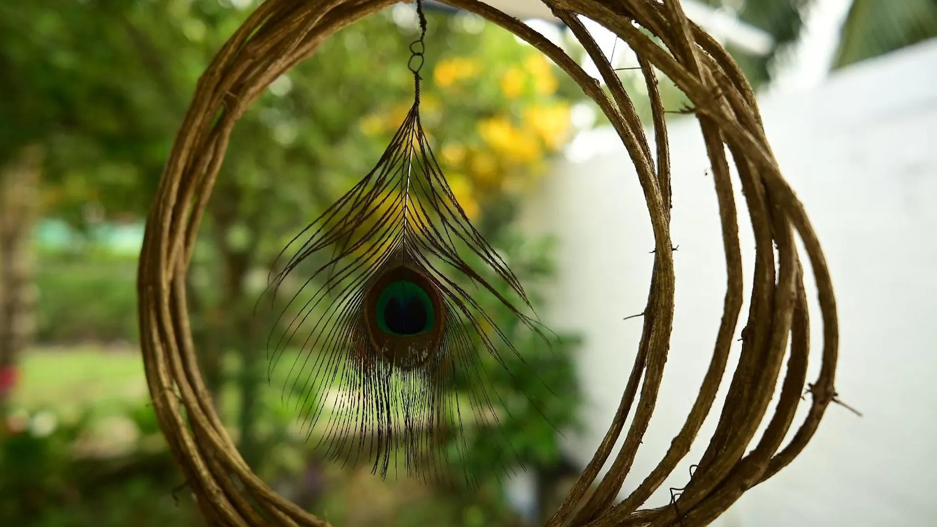 Nido Wellness Center Hotel Bacalar