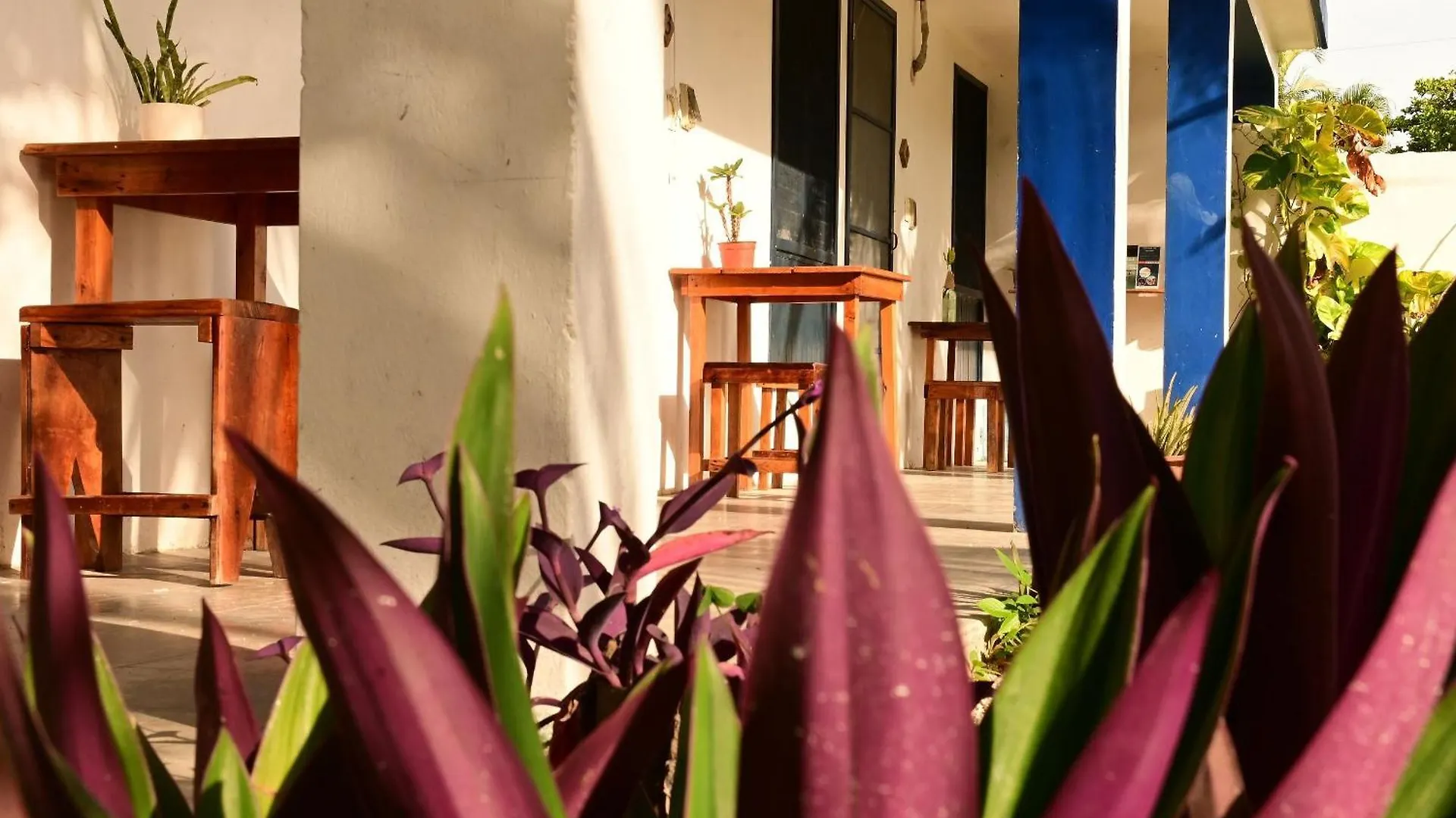 Resort Nido Wellness Center Hotel Bacalar Mexico